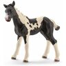 Schleich Speelfiguur Pinto Veulen