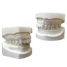 ASUDEN Wit korund voorbereidingsmodel, tandenvoorbereidingsmodel, pre-tandvoorbereiding holtemodel voor tandenslijpen model onderwijsstudiebenodigdheden