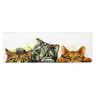 Pracht Creatives Hobby Lieveheersbeestje Stickset Curious Kittens, kruissteekset ca. 31 x 9 cm, complete set voor een hoekig borduurmotief, knutselhobby voor volwassenen en kinderen vanaf 8 jaar