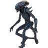 Generic NECA Reel Toys Aliens Arachnoid Alien 22,9 cm figuur 2021