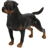 Zerodis Rottweiler Beeldje Speelgoed, Levensechte Simulatie Rottweiler Model Ornamenten Desktop Decoratie Educatief Cadeau Voor Kinderen