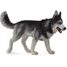 Collecta Col88707 Siberische husky maat L