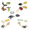 Oikabio Het leven van vlinder spin bij, plastic insect bug figuren speelgoed, schoolproject