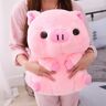 EacTEL Zachte schattige piggy pluche speelgoed pluche schattige binnen warm gezellig schattig verjaardagscadeau voor kinderen 26cm 1