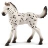 Schleich 13890 Knabstrupper Veulen