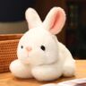 SioNS Schattig wit konijntje pop pluche konijntje speelgoed simulatie konijntje stof pop pop voor kinderen wit 20cm