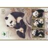 Prophila Collection VN Wenen Blok 54 (compleet.Kwestie.) 2019 Panda (Postzegels voor verzamelaars) zoogdieren