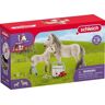 Schleich Horse club Islandzki Koń i apteczka SLH42430