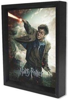 Harry Potter Poster 3D Harry