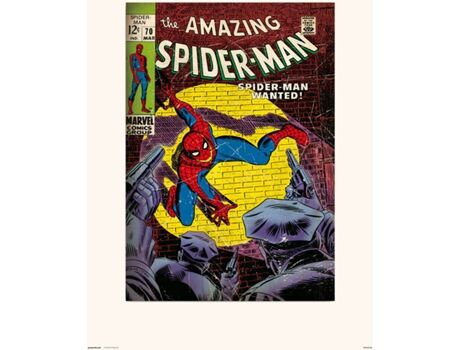 Spiderman Print 30X40 cm Amazing 70