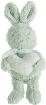 Disfrazzes Peluche Coelho em Caixa (Verde - 22 cm)