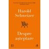 Despre asteptare - Harold Schweizer