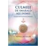 Culmile de smarald ale inimii Vol.3 Concepte cheie in practicarea Sufismului - Fethullah Gulen