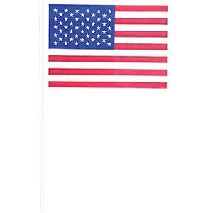 amscan (PKT) 4th July USA Flags Food Picks (120 pk)