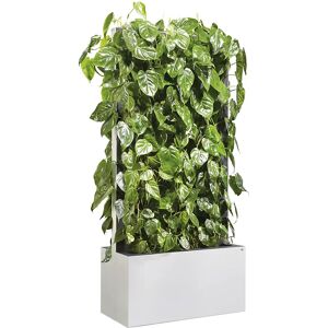 C+P Mobiles Heckenelement mit Philodendron, Pflanzenwand weiß, akustisch wirksam, HxBxT 1635 x 800 x 400 mm