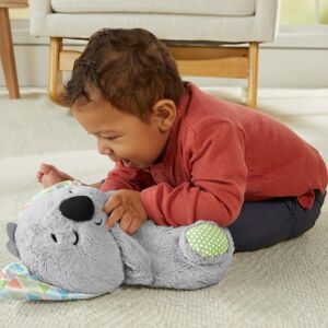 Fisher Price Schlummer-Koala grau