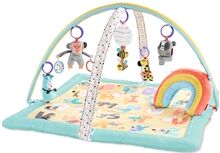 Skip Hop ABC&Me Babygym