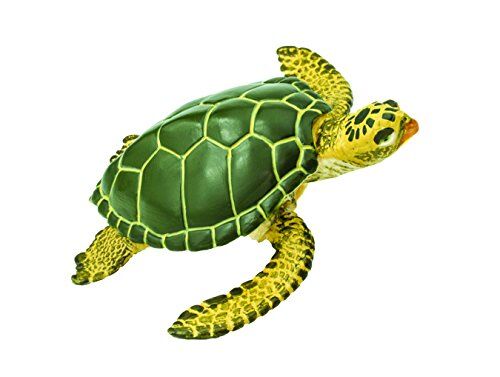 Safari 2743-29 – havssköldpadda