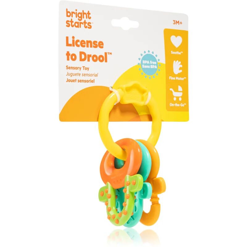 Bright Starts Teether & Rattle rattle with teether 3m+ 1 pc