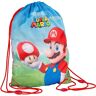 TOYBAGS Super Mario Bros Mario and Luigi gym bag 40cm