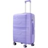 LZDLNB Carry-on Koffer Bagage Bagage Carry On Lichtgewicht Wiel Spinner Cabine Size Reiskoffer Dames Bagage Carry-on Koffers Carry On Bagages, D, 24in