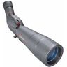 Simmons Venture 20-60x80 45º Telescope Gris