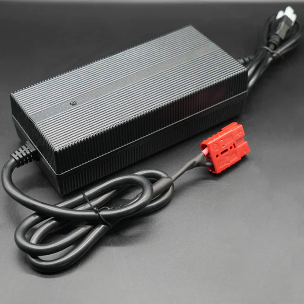 Don't Die Lithium Lithium Battery Company 12V 20A Lithium Battery Charger