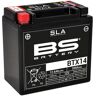 BS Battery Werkseitig aktivierte wartungsfreie SLA-Batterie - BTX14 -  -  - unisex