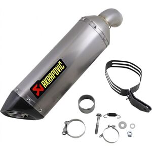 Slip-On Line Muffler AKRAPOVIC /18113966/