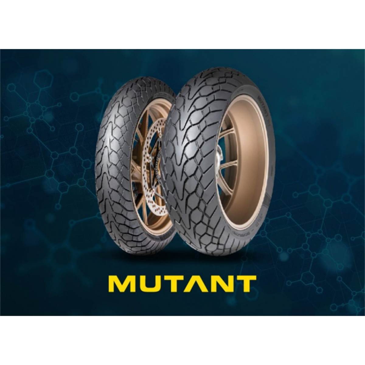 Dunlop Neumático moto  170/60 R17 Mutant 72 W