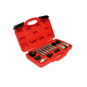 Varan Motors - VT01573 Coffret d'outils pour démontage de la poulie d'alternateur, Universel, 13 pièces