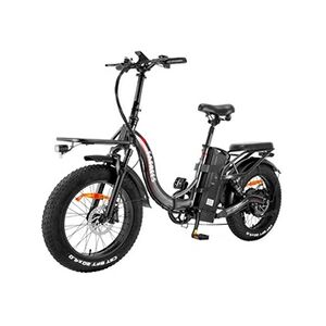 Fafrees Vélo électrique F20 x-max 20*4.0 pouces gros pneu 750W moteur sans balais 48V-Gris - Publicité