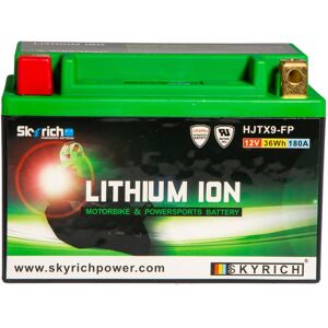 Skyrich Batterie Skyrich Lithium Ion LTX9-BS sans entretien