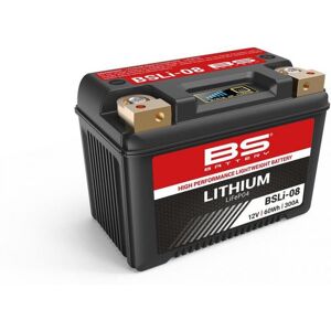 BS Battery Batterie BS Battery BSLI-08 12V 5Ah Lithium