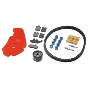 C4 Kit entretien Piaggio Mp3 500 (11/12)