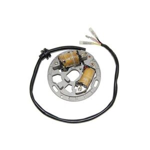 Stator d’allumage Electrosport Kawasaki KDX 200 R 89-02