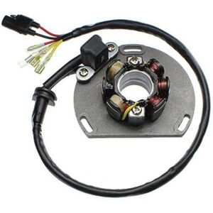 Electrosport Stator d’allumage Electrosport KTM SX 125 1999-04