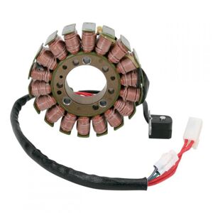 Rick’s Motorsport Electric Stator Rick’s Motorsport Electric Triumph Street Triple 675 08-16