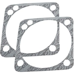 930-0099 Engine Gaskets Argenté