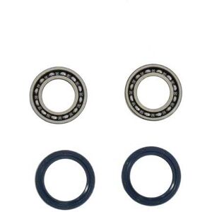 Suzuki Front Wheel Bearing&seal Kit Noir