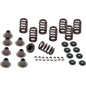 900-0958 Valve Springs&washers Doré