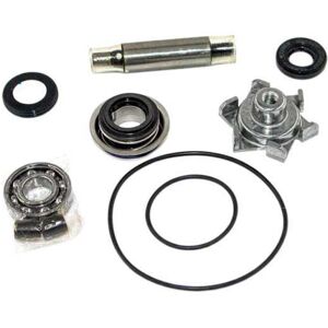 Honda Pcx 125 Water Pump Rebuild Kit Argenté