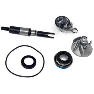 Honda Sh 125/150 01-12 Water Pump Rebuild Kit Argenté