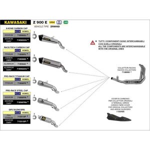 Arrow Dark Gp2 Kawasaki Z 900 ´17- Homologated Muffler Argenté Homologated - Publicité