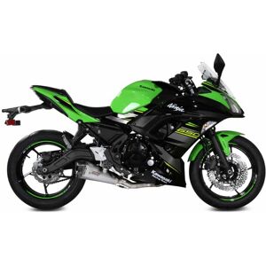 Delta Race Kawasaki Ninja 650/z650 2017-23 K.044.ldrx Homologated Full Line System Argenté Homologated