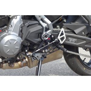 LSL Piece de rechange pour Rastenanl. 110K155-RSW, côte decalage, Z650/Ninja 650, 17-, race noire Ver. Argent taille :