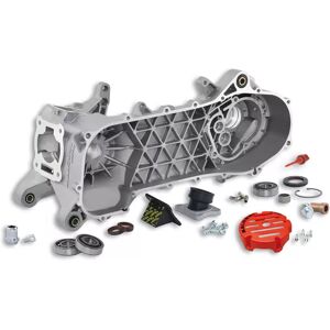 Carter moteur complet Malossi MHR RC one Piaggio ZIP NRG