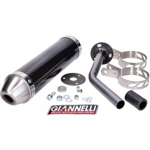 Silencieux Giannelli Enduro Carbone Fantic Motor Performance 2017 2020