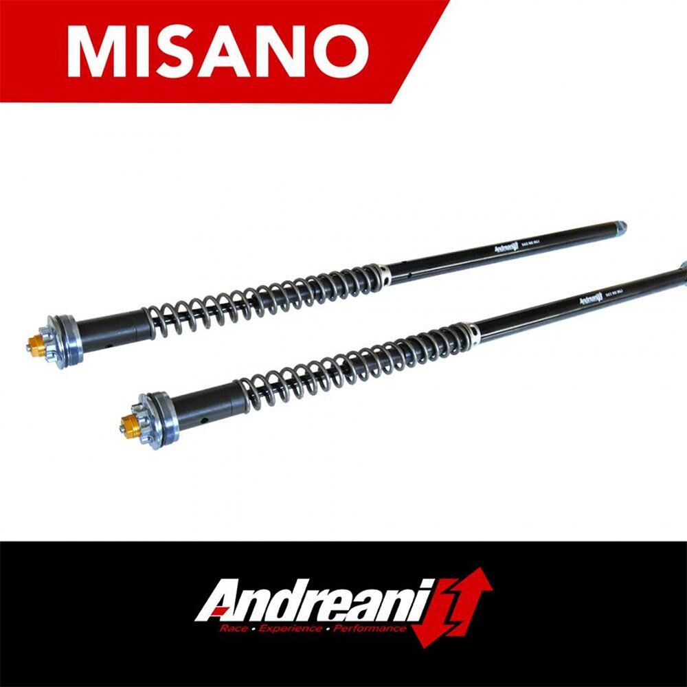 Andreani Moto Misano Harley Davidson Dyna Switchback 110/hd7 Hydraulic Cartridges Kit Argenté