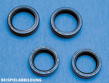 Paaschburg & Wunderlich GmbH Fork Seal Set Fsm